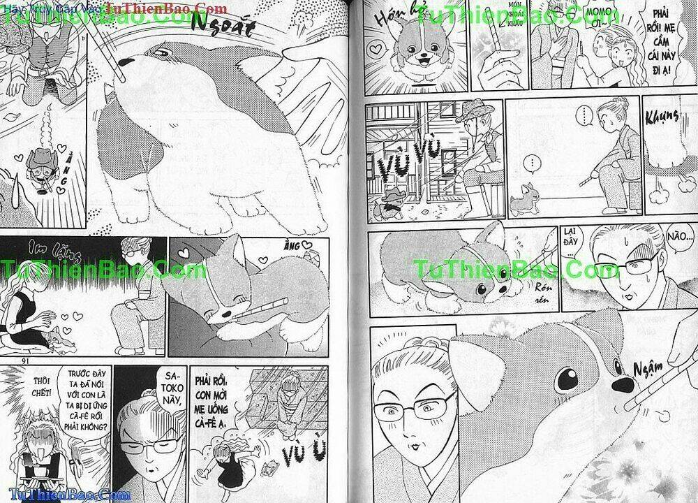 chó con mo mo chapter 1 46