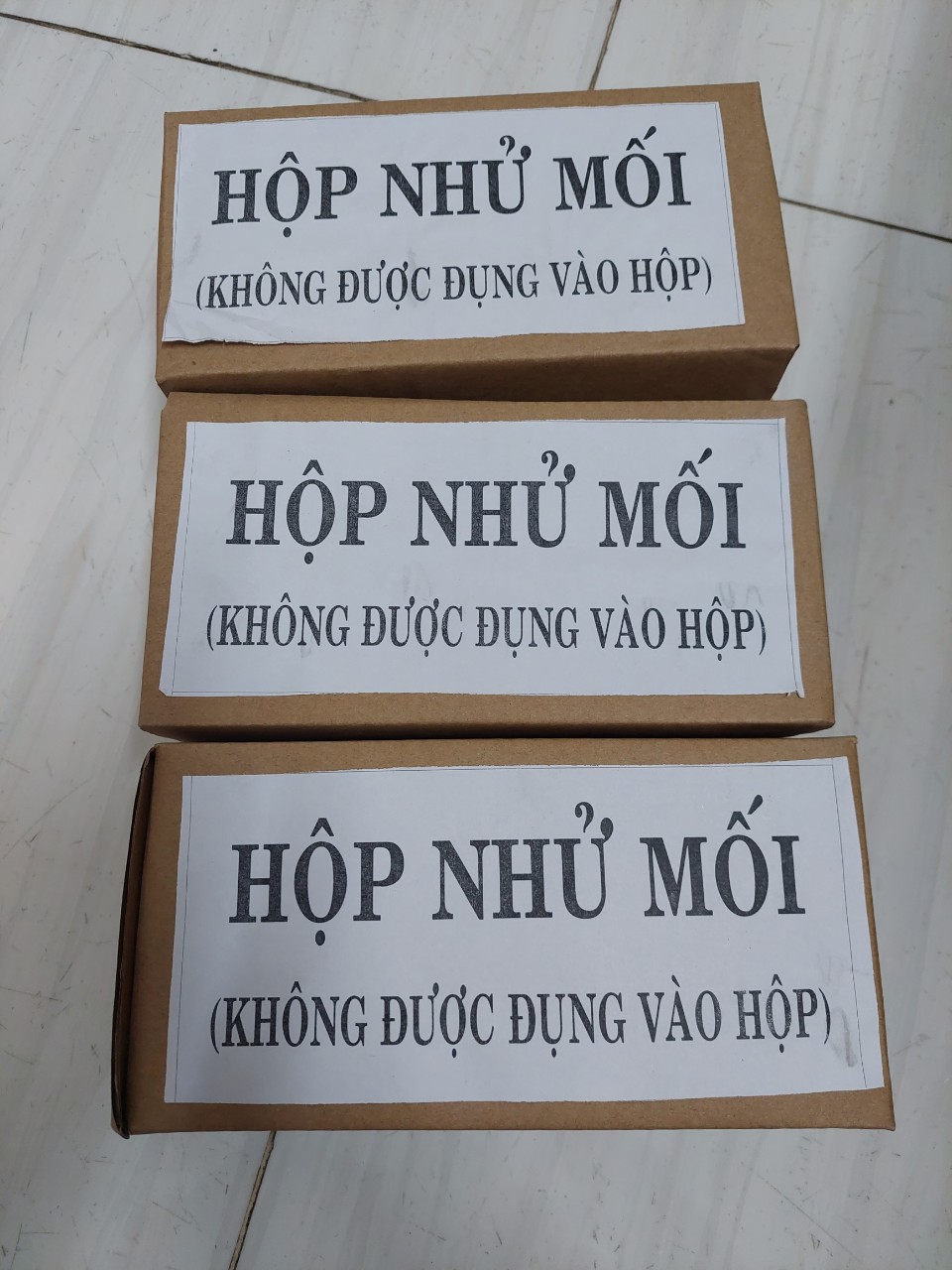 Hộp nhử mối gỗ thông trắng- Hộp Dẫn Dụ Bắt Mối Diệt Trừ Mối - Diệt mối sinh học PMC90