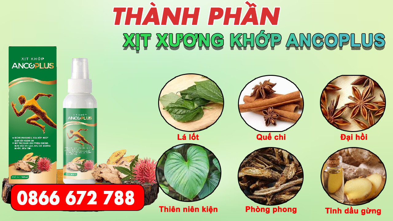 Combo 4 Tặng 2 Xịt Xương Khớp Ancoplus Giúp Giảm Đau Nhanh Chóng, Bảo Vệ Xương Khớp Từ Thiên Nhiên