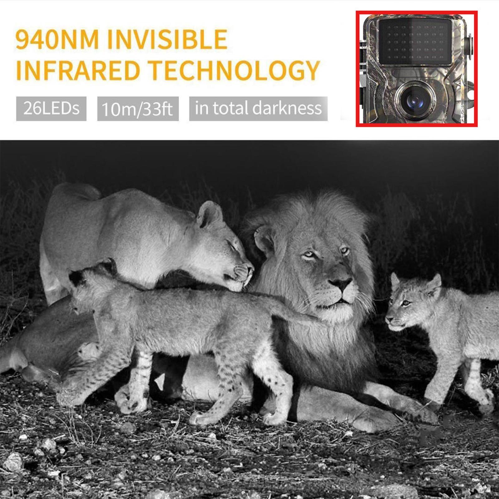 Trail Camera Mini with Night View Deer Camera for Garden Wildlife Watching