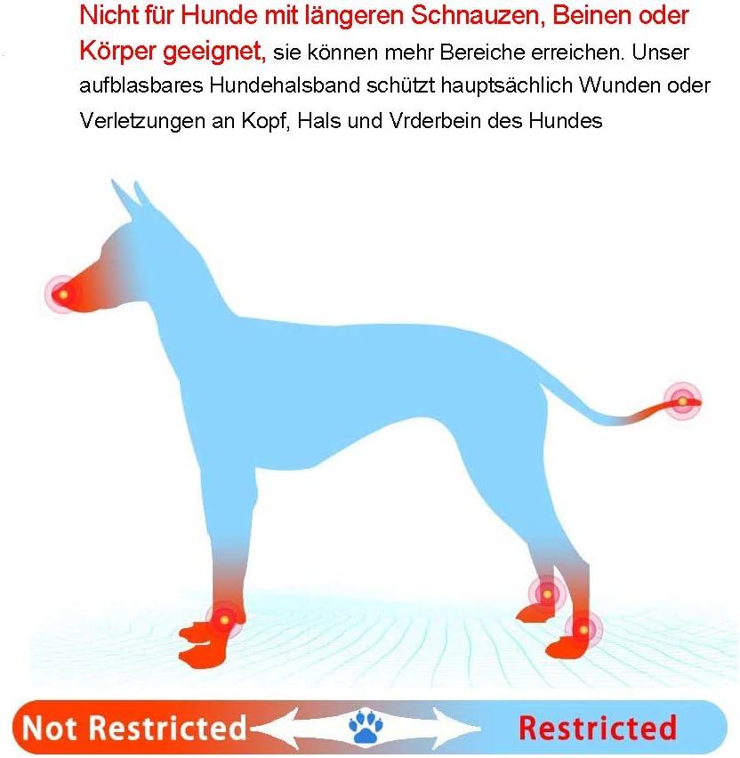 Cổ áo để bảo vệ chó bảo vệ áo choàng cổ áo Cổ áo Chó bảo vệ cho vật nuôi có thể điều chỉnh cổ áo bảo vệ có thể điều chỉnh với Velcro Bleu