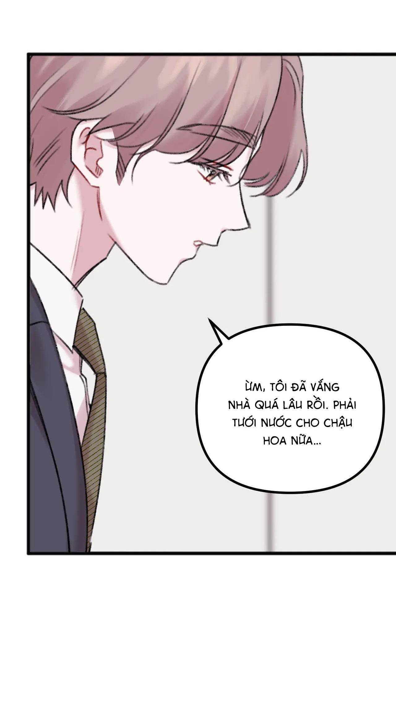 anh thật sự thích em sao chapter 12 17