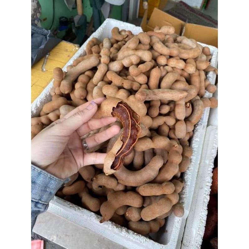 Cây Giống Me Thái Ngọt tặng 2 cây chè xanh