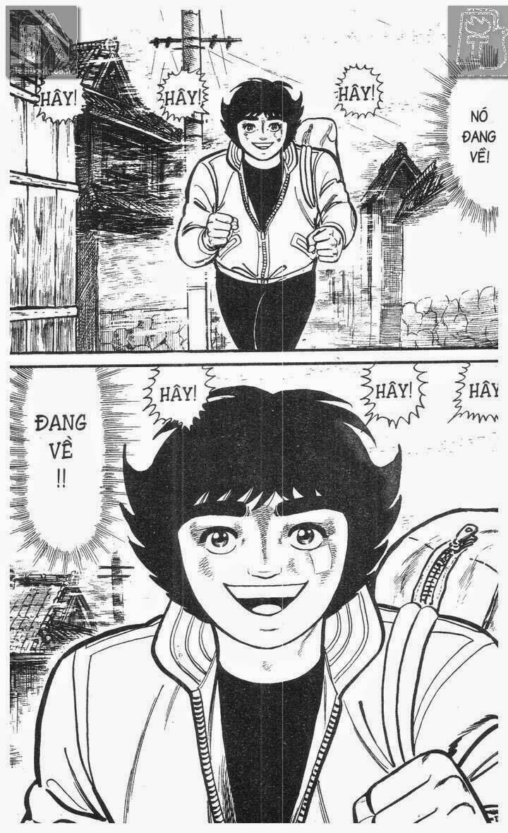 ganbare genki chapter 226 47