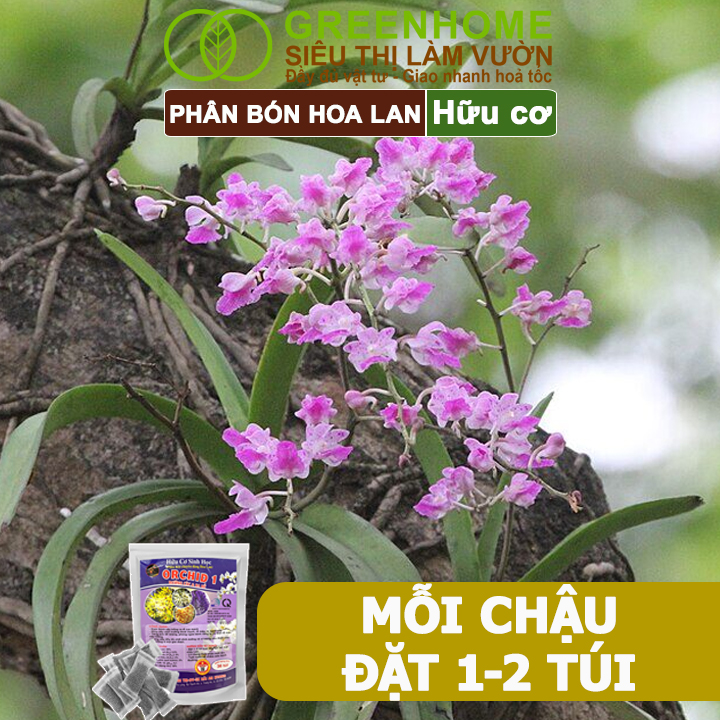 Phân Bón Lan Greenhome, Bao 36 Túi Lưới, Tan Chậm, Không Mùi Hôi, Dưỡng Lan Ra Rễ, Xanh Tốt, Dùng Tốt Cho Sen Đá, Kiểng