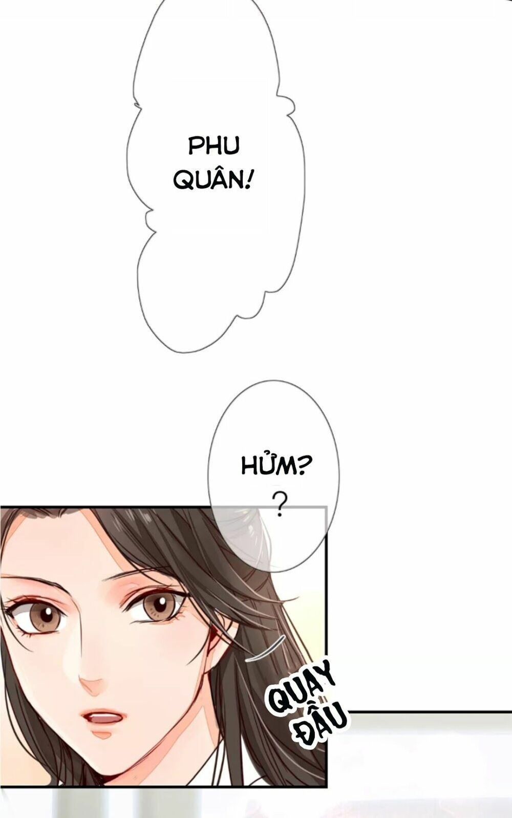 chỉ phu vi thê chapter 6 5