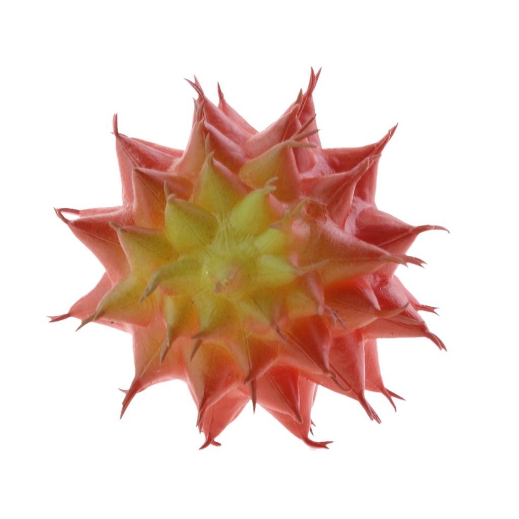 Cactus Artificial Plant Plastic Succulent Cactus Office Garden Home Plant #1