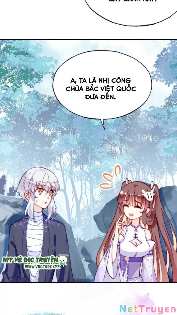 lại bị bệnh chiều chuộng quấn lấy chapter 20 13