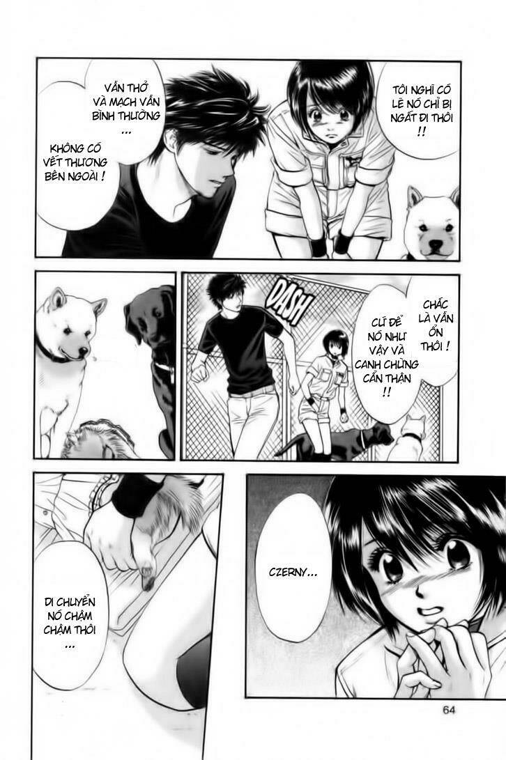 cô nàng yêu chó chapter 23 3