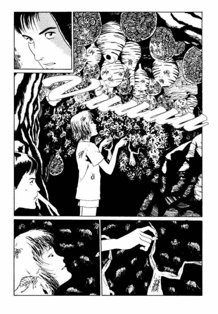 tuyển tập truyện ngắn kinh dị của ito junji chapter 3.3 22