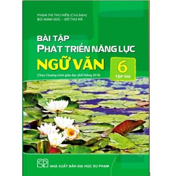 Sách - Combo Bài tập phát triển năng lực ngữ văn 6 - Sách Giáo Khoa Cánh Diều
