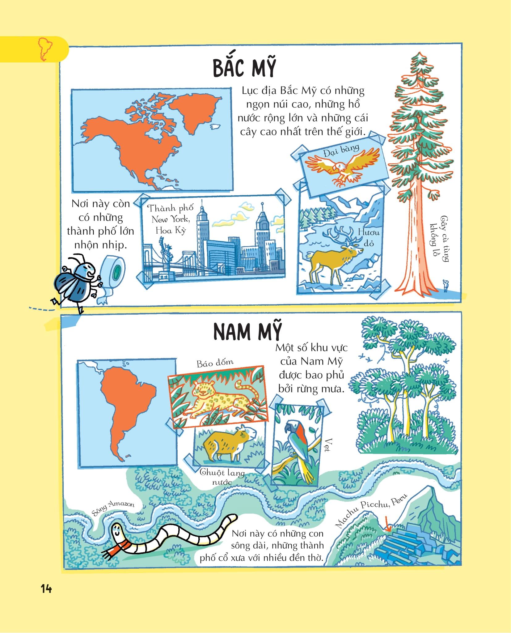 Sách - Những Kiến Thức Địa Lý Thiết Yếu Dành Cho Học Sinh Tiểu Học