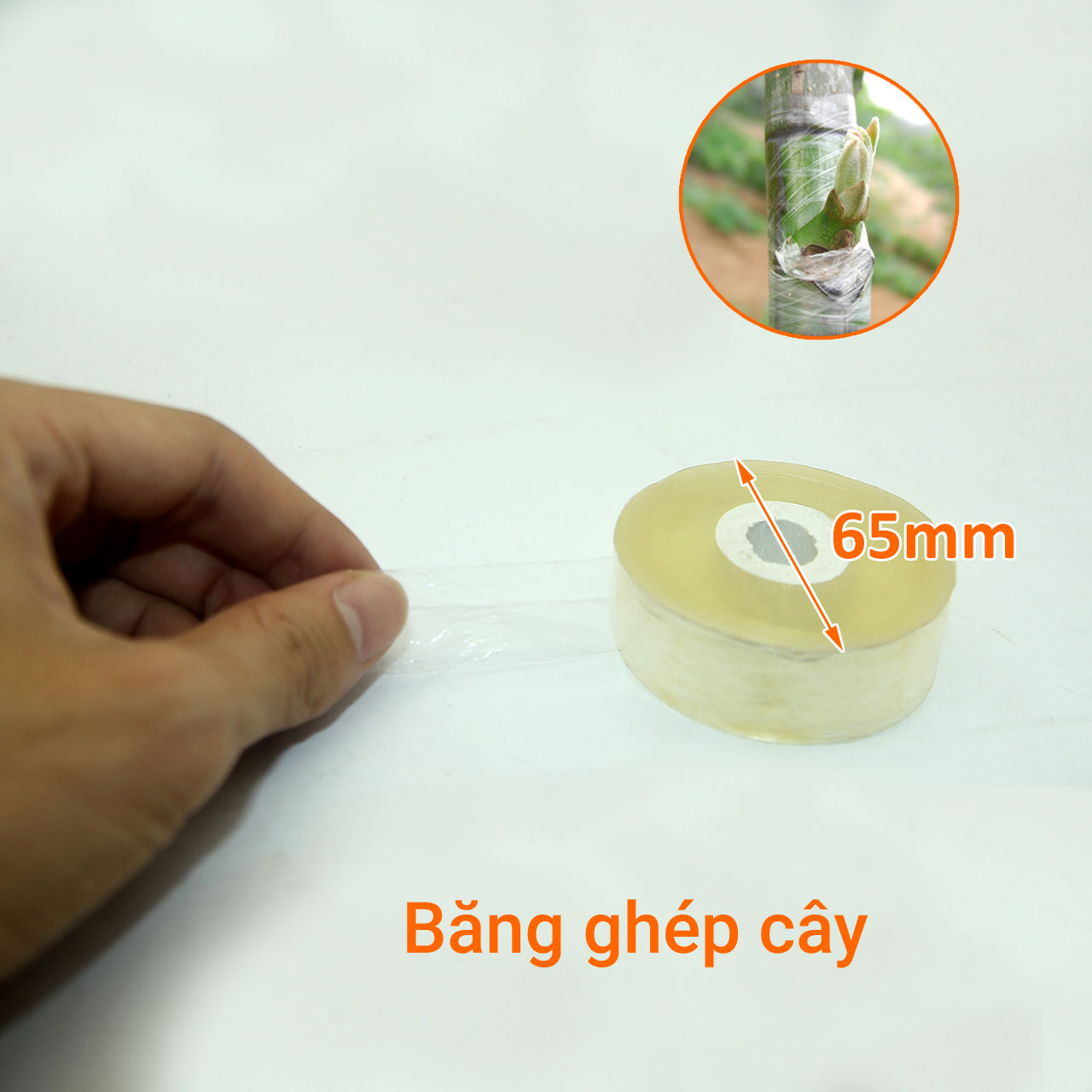 Băng ghép cây vàng khổ 2cm