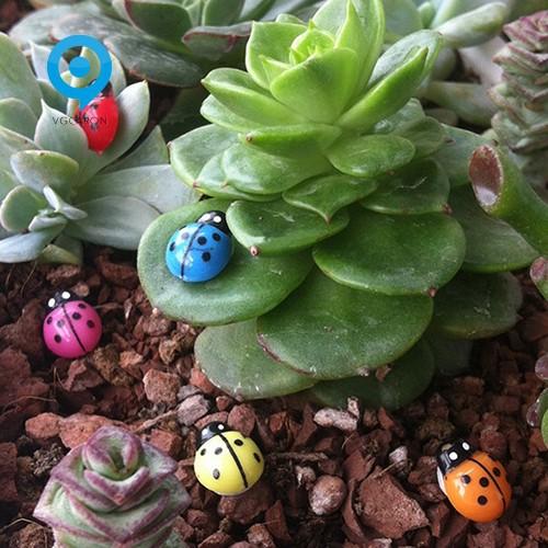 Combo 20 Con Bọ Rùa Mini Nhiều Màu Sắc Dùng Trang Trí Cây Cảnh