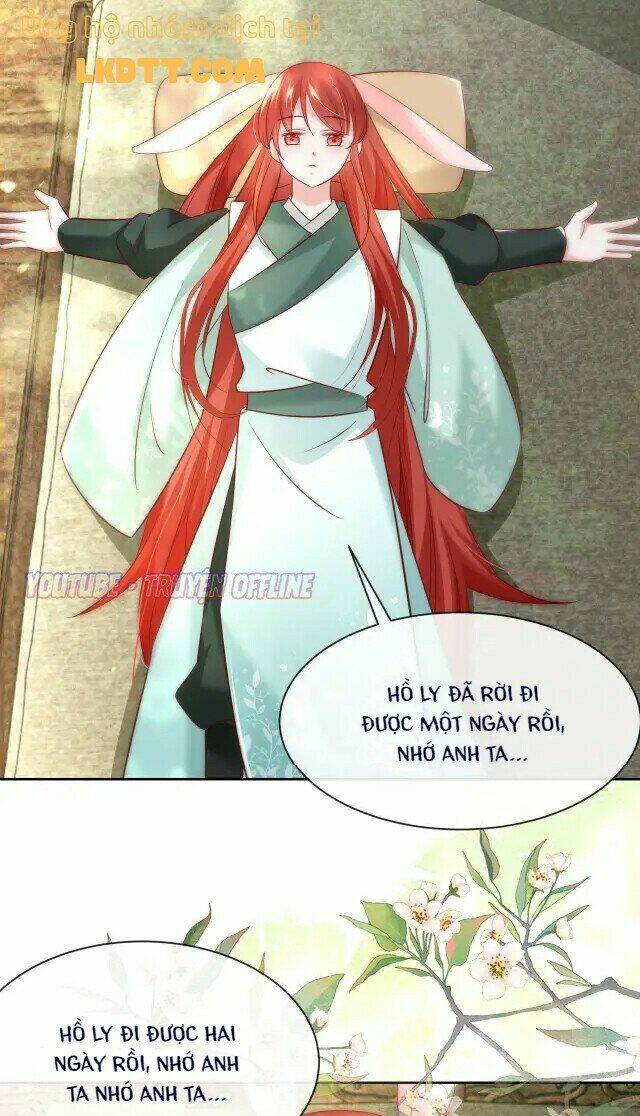 hắc hóa nam chính trực tuyến nuôi thỏ chapter 29 24