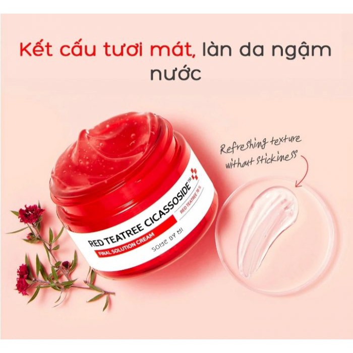 Kem Dưỡng Giảm Mụn, Phục Hồi Da Cho Da Nhạy Cảm Some By Mi Red Tea Tree Cicassoside Final Solution Cream 60g + Tặng Kèm 1 Túi Lưới Rửa Mặt Tạo Bọt