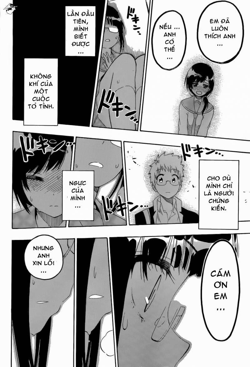 nisekoi - tình yêu giả tạo chapter 141 14