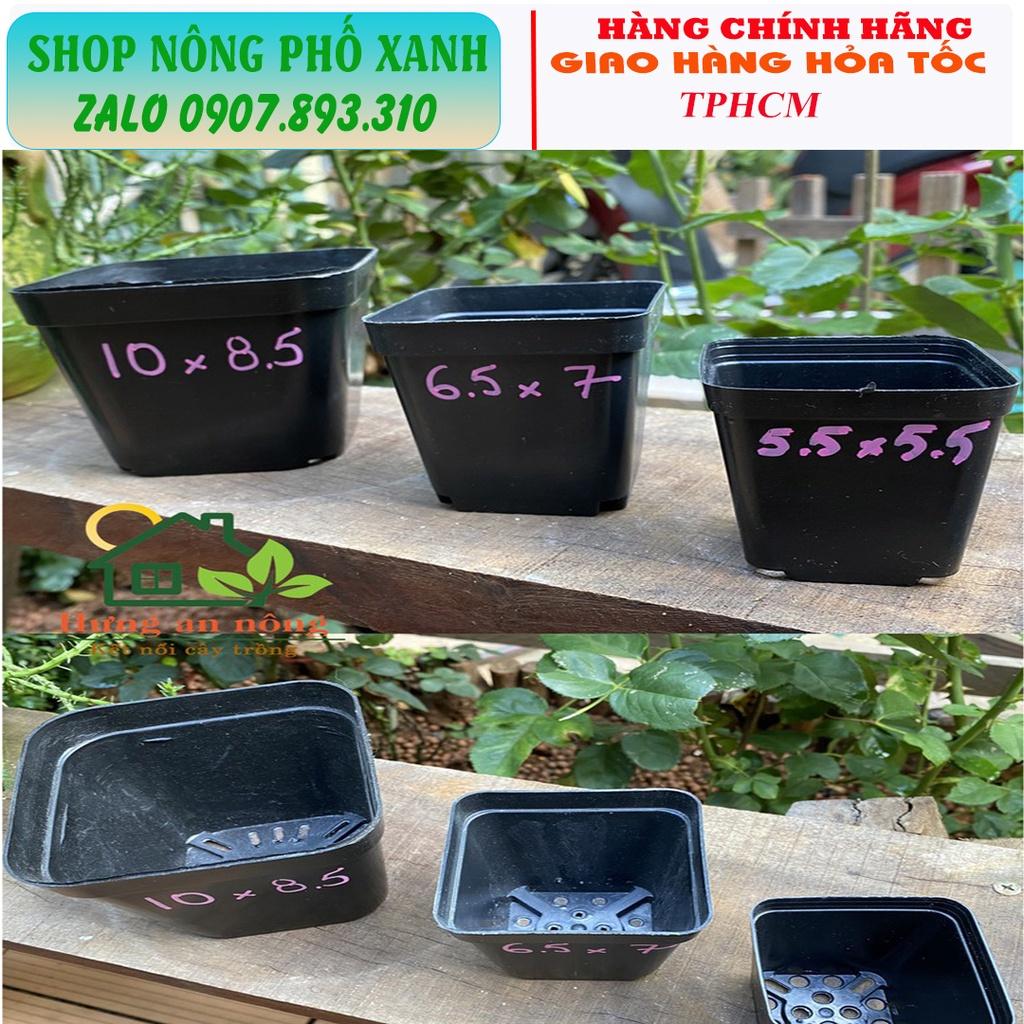 Chậu đen dẻo trồng sen đá bonsai xương rồng ươm cây con, trồng phôi bonsai mini