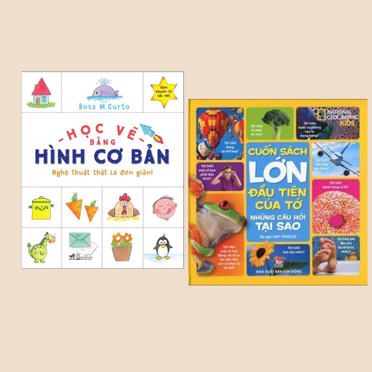 Combo Sách Dành Cho Thiếu Nhi Từ 6-15 Tuổi: Học Vẽ Bằng Hình Cơ Bản - Nghệ Thuật Thật Là Đơn Giản + Cuốn Sách Lớn Đầu Tiên Của Tớ - Những Câu Hỏi Tại Sao -