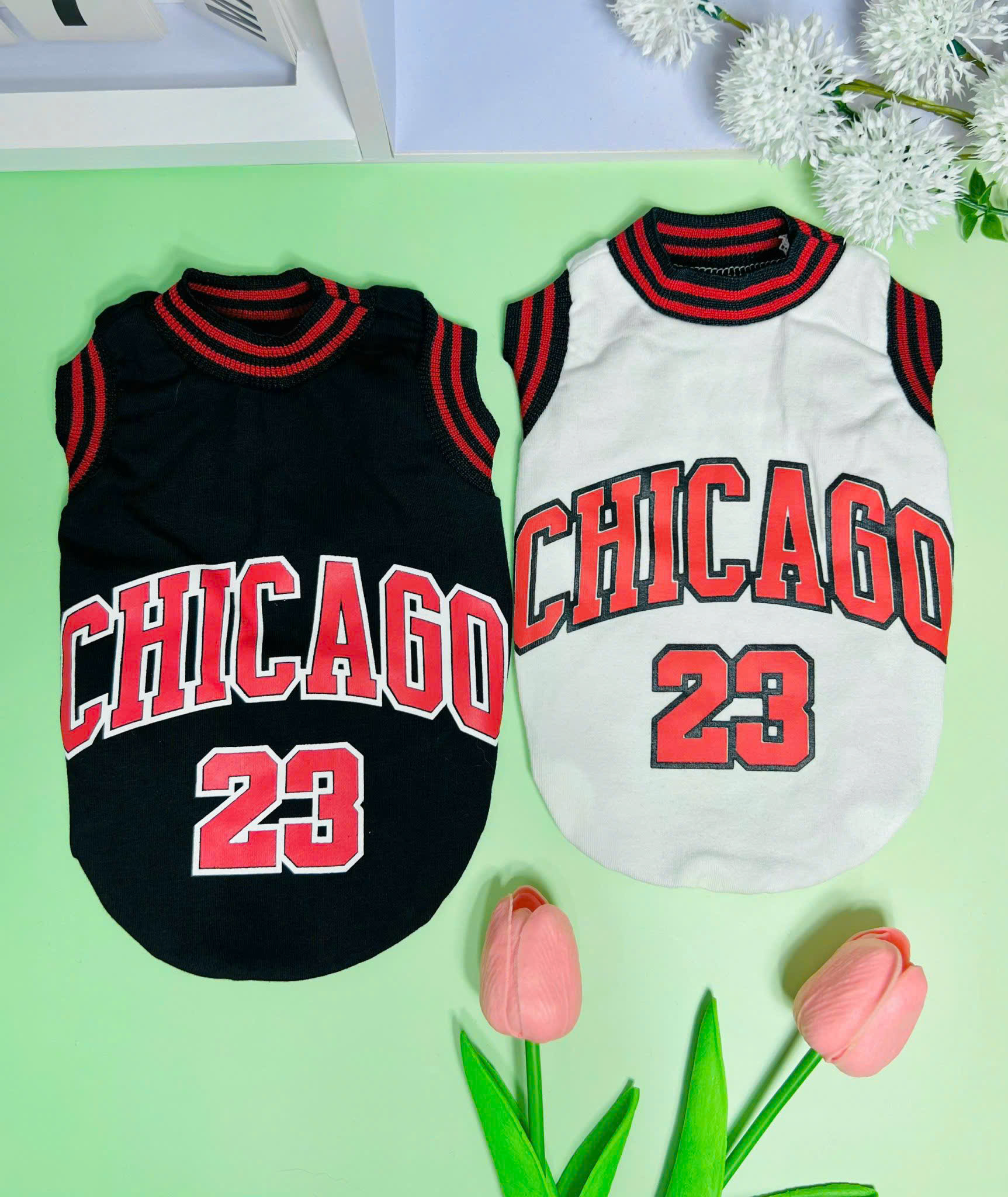 ÁO CHICAGO SANG XỊN DÀNH CHO THÚ CƯNG CHÓ MÈO