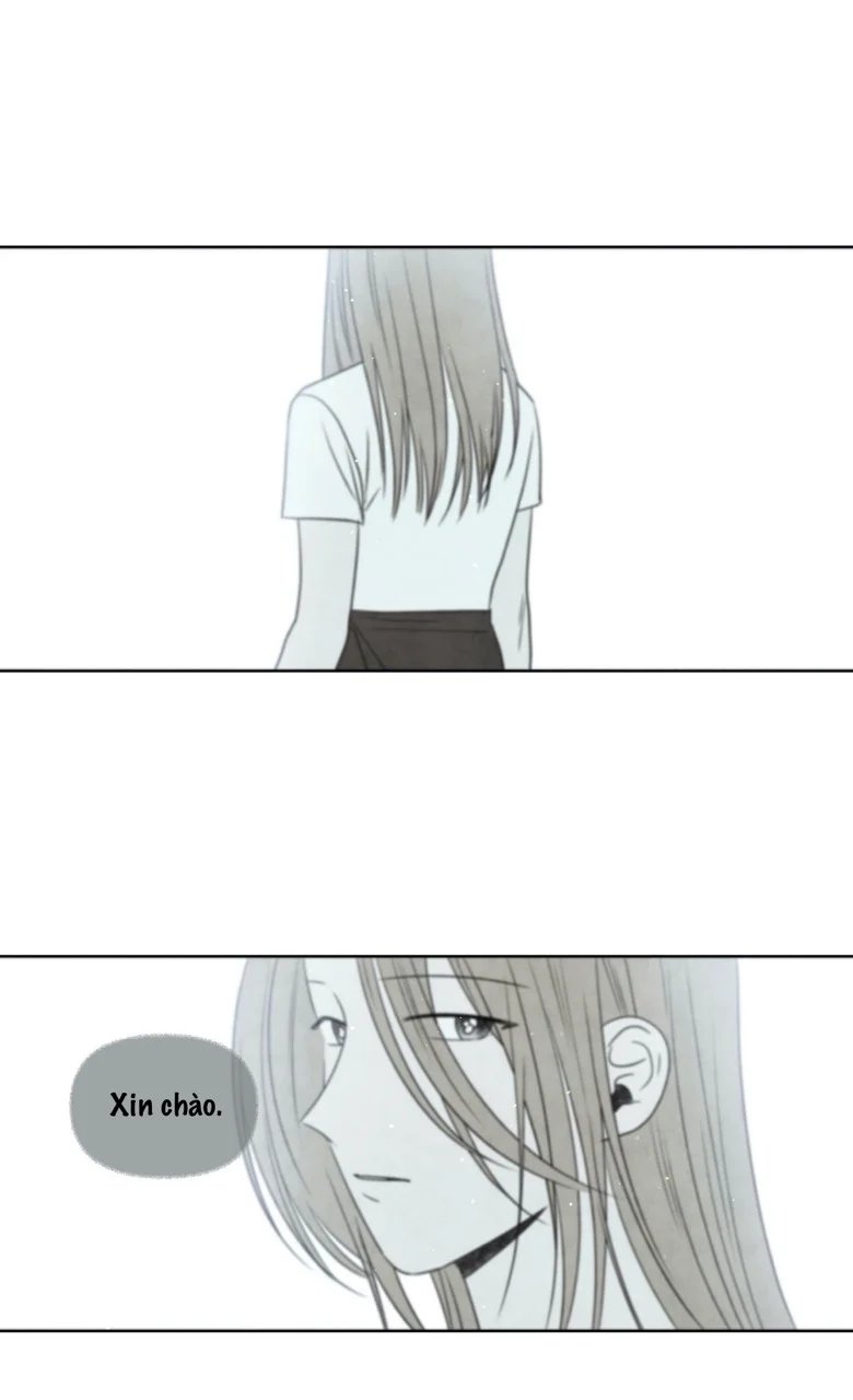 summer solstice point chapter 11 50