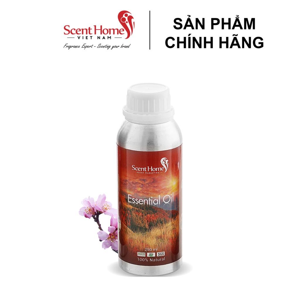 Tinh dầu Scent Homes - mùi hương