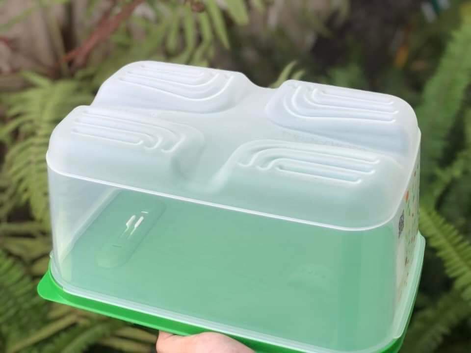 Hộp trữ mát có nút hô hấp Ventsmart 4.4L Tupperware chính hãng