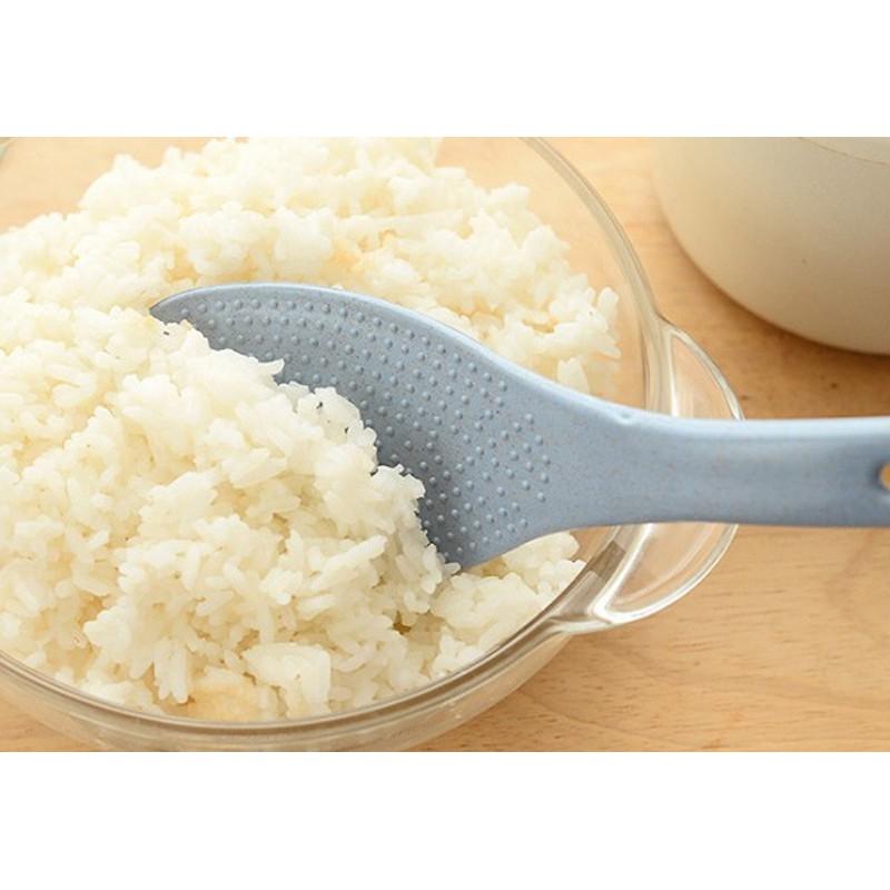 Vá nhựa múc cơm chống dính cao cấp