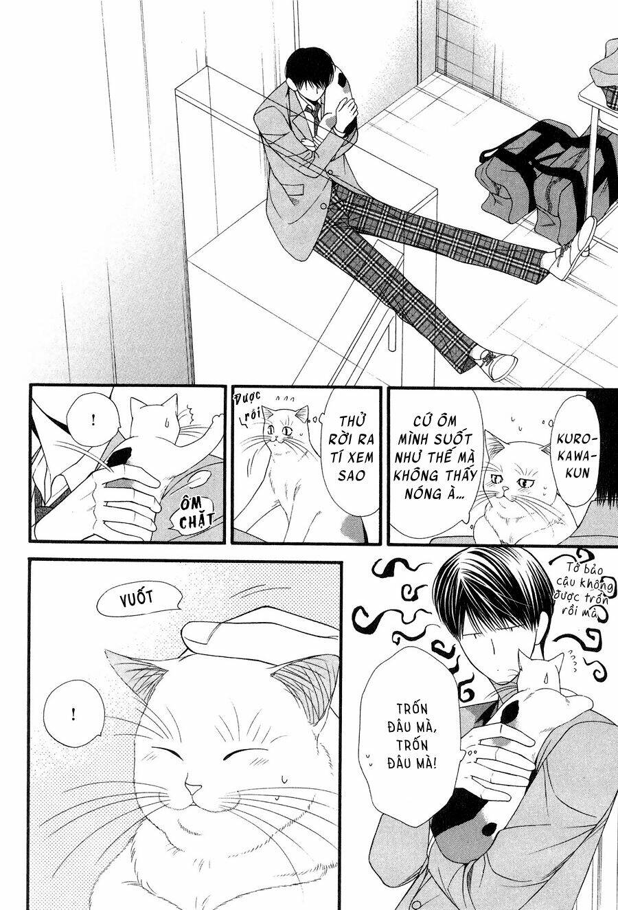 neko neko honey chapter 12 12