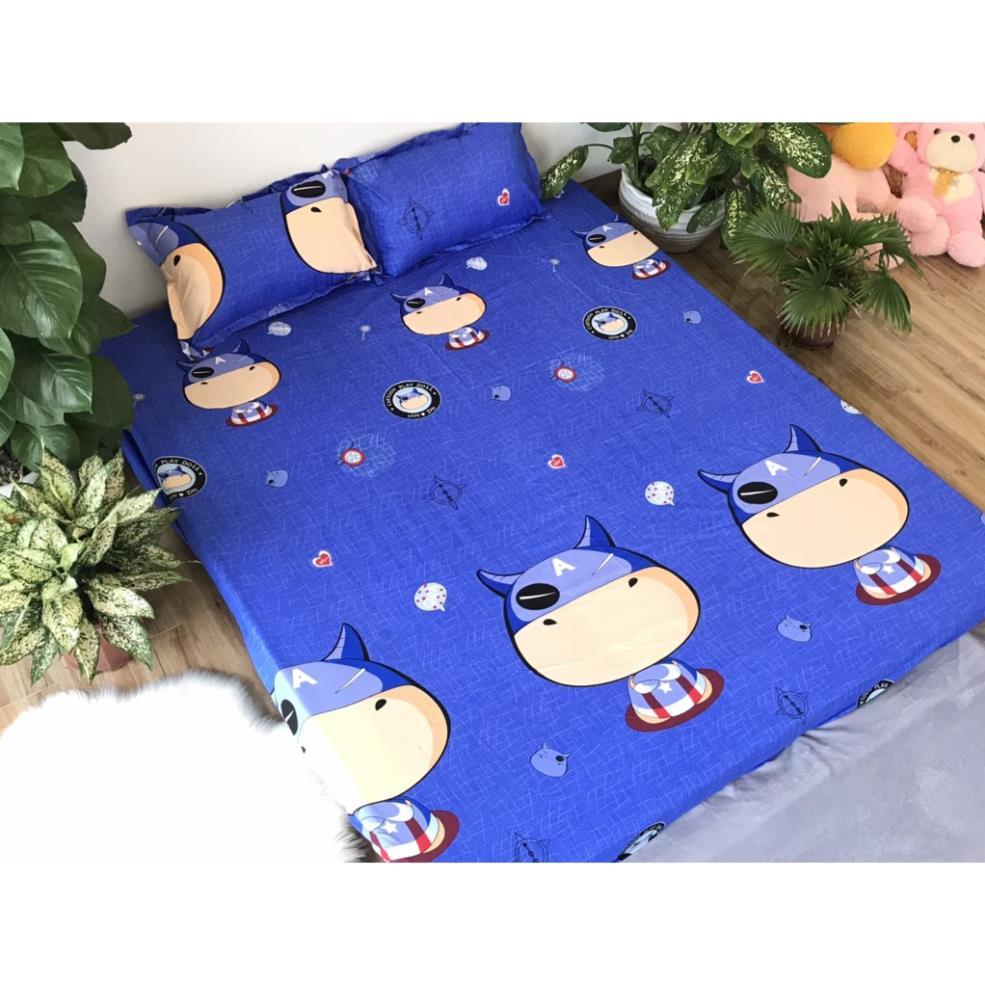 Bộ ga gối poly cotton