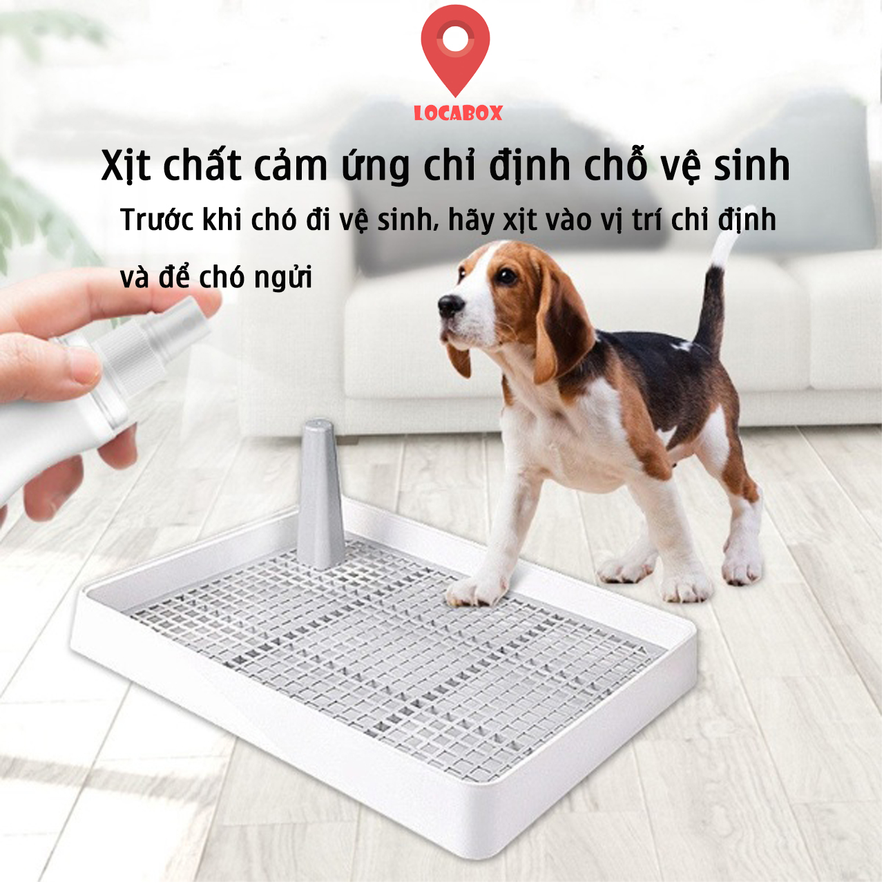 Cách dạy chó đi vệ sinh đúng chỗ - Pet Inducer - chai 150ML