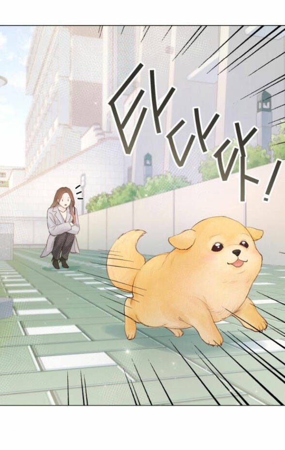 nhất định chúng ta sẽ được hạnh phúc chapter 79.2 4