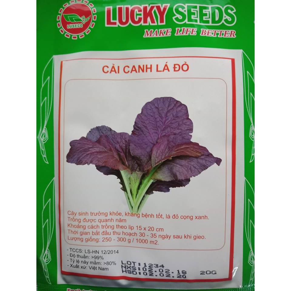 Combo 2 gói hạt giống rau cải canh lá đỏ f1-gói 10gram/tặng kèm gói phân bón lót