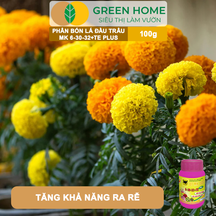 Phân Bón Lá Đầu Trâu 6-30-32 GreenHome, HŨ 100gr, MK 007, Siêu Ra Hoa Màu Rực Rỡ Chuyên Hoa Lan Hồng