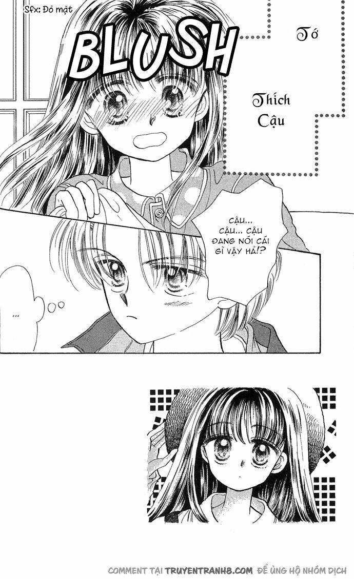 milk to vitamin chapter 7 4