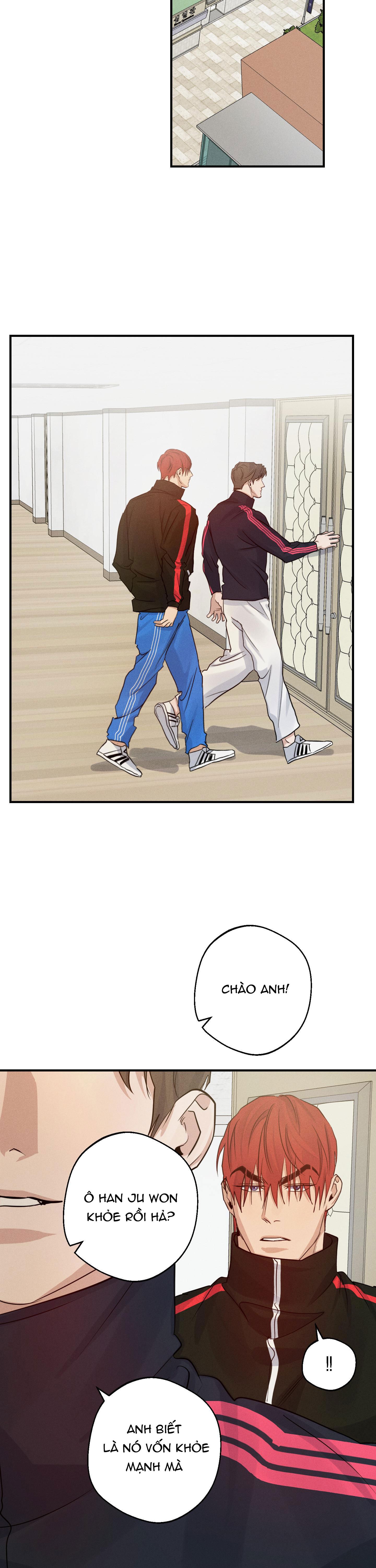 high clear chapter 33 9