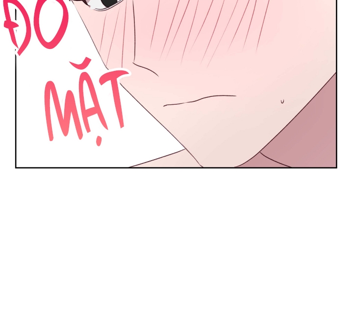 cuộc sống hai mặt của thần tượng chapter 19 23