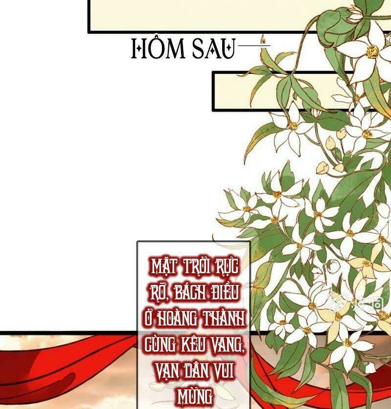 sủng phi của vương chapter 204 34