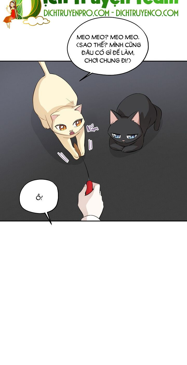 cuộc sống kỳ thú chapter 69 4