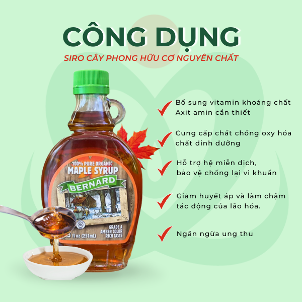 Siro cây phong pure organic BERNARD