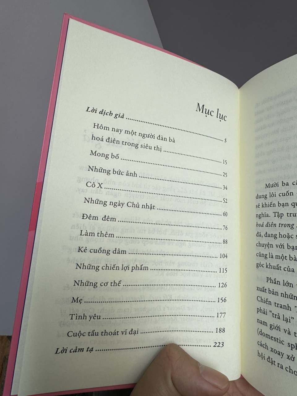 HÔM NAY MỘT NGƯỜI ĐÀN BÀ HÓA ĐIÊN TRONG SIÊU THỊ - Hilma Wolitzer - Đinh Thảo dịch - San Hô Books - Nhà xuất bản Phụ Nữ Việt Nam.