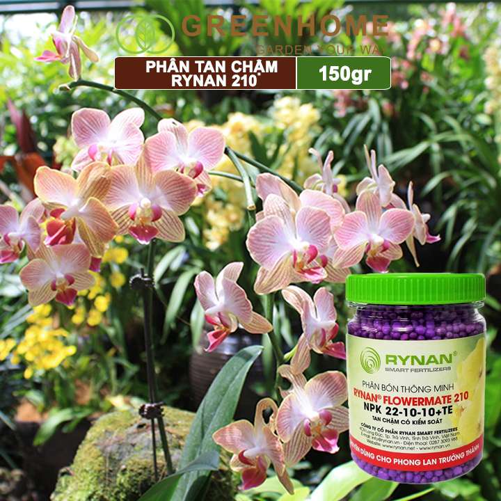 Phân tan chậm Rynan 210, chai 150gr, kích rễ, chồi, dùng cho phong lan trưởng thành |Greenhome