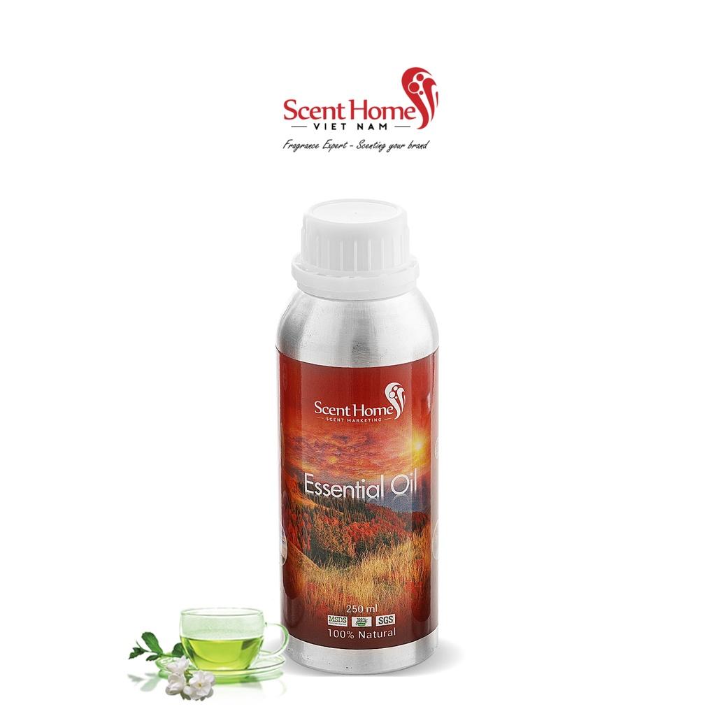 Tinh dầu Scent Homes - mùi hương (Green tea)