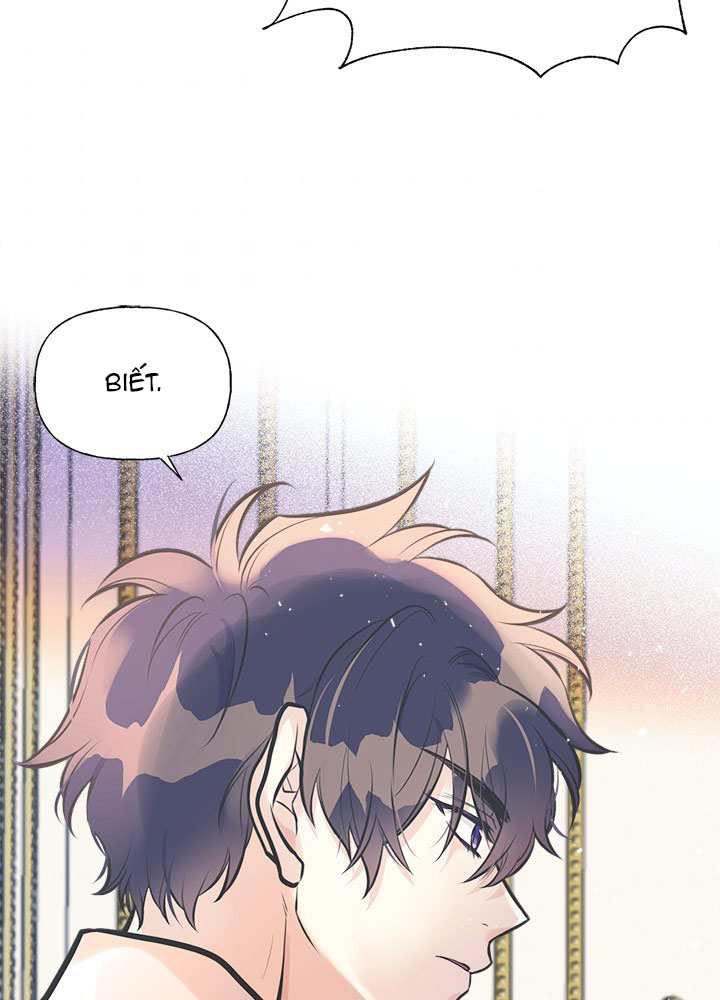 chị tôi đã nhặt về một nam chính quyến rũ chapter 50 47