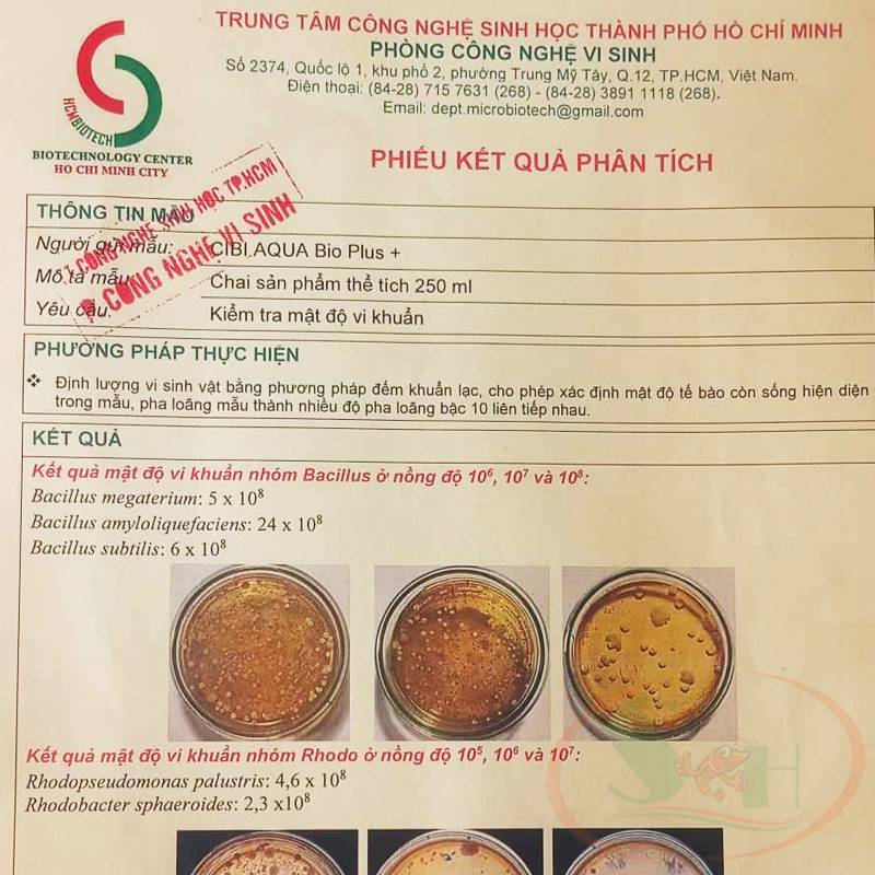 Vi sinh nước Cibi Bio Plus xử lý phân hủy cặn thải làm trong nước bể cá tép thủy sinh