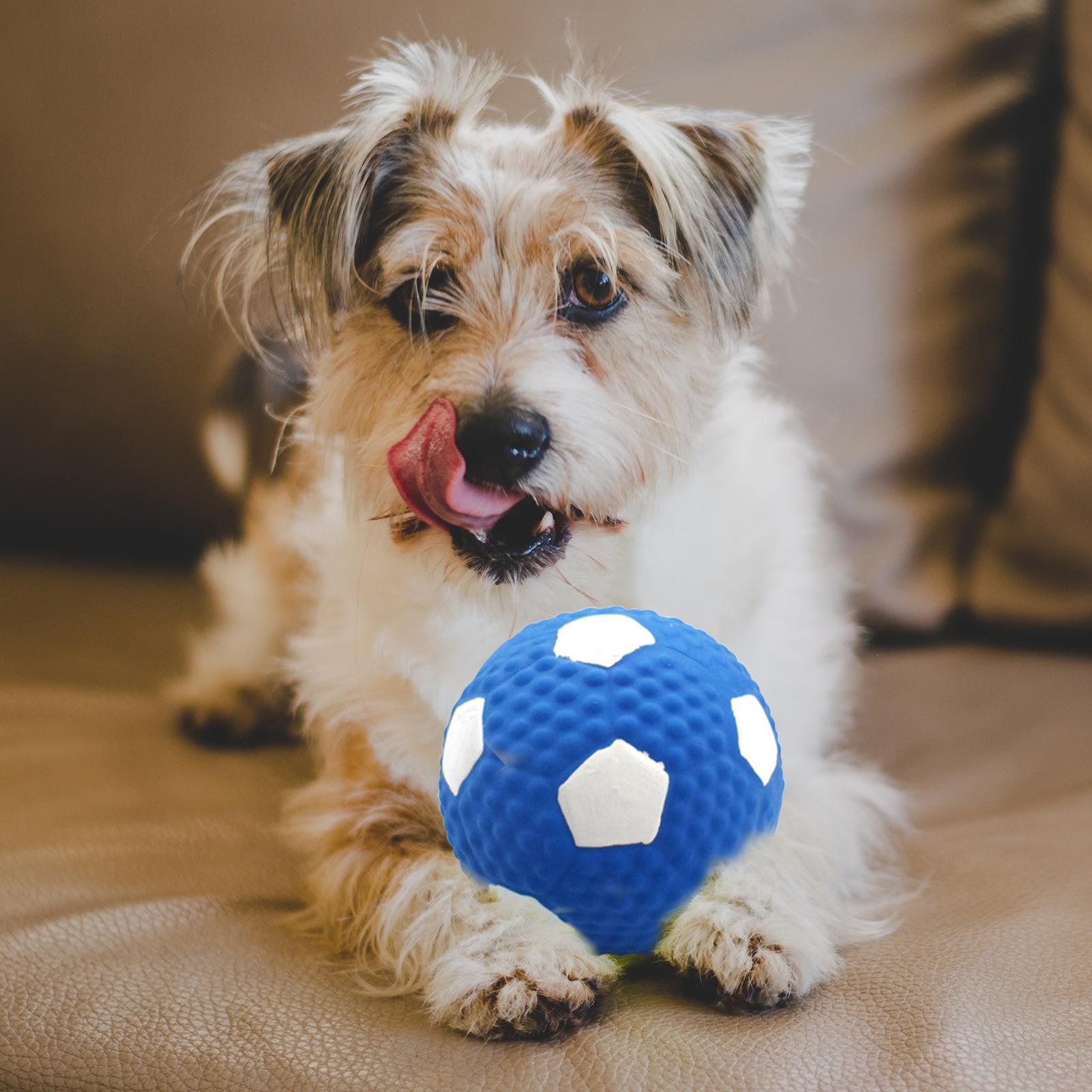 Đồ chơi huấn luyện tương tác cho chó có tiếng kêu