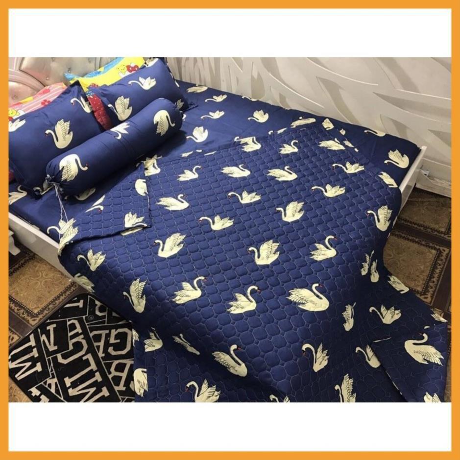 Bộ Chăn Ga Gối Poly Cotton Thỏ trắng