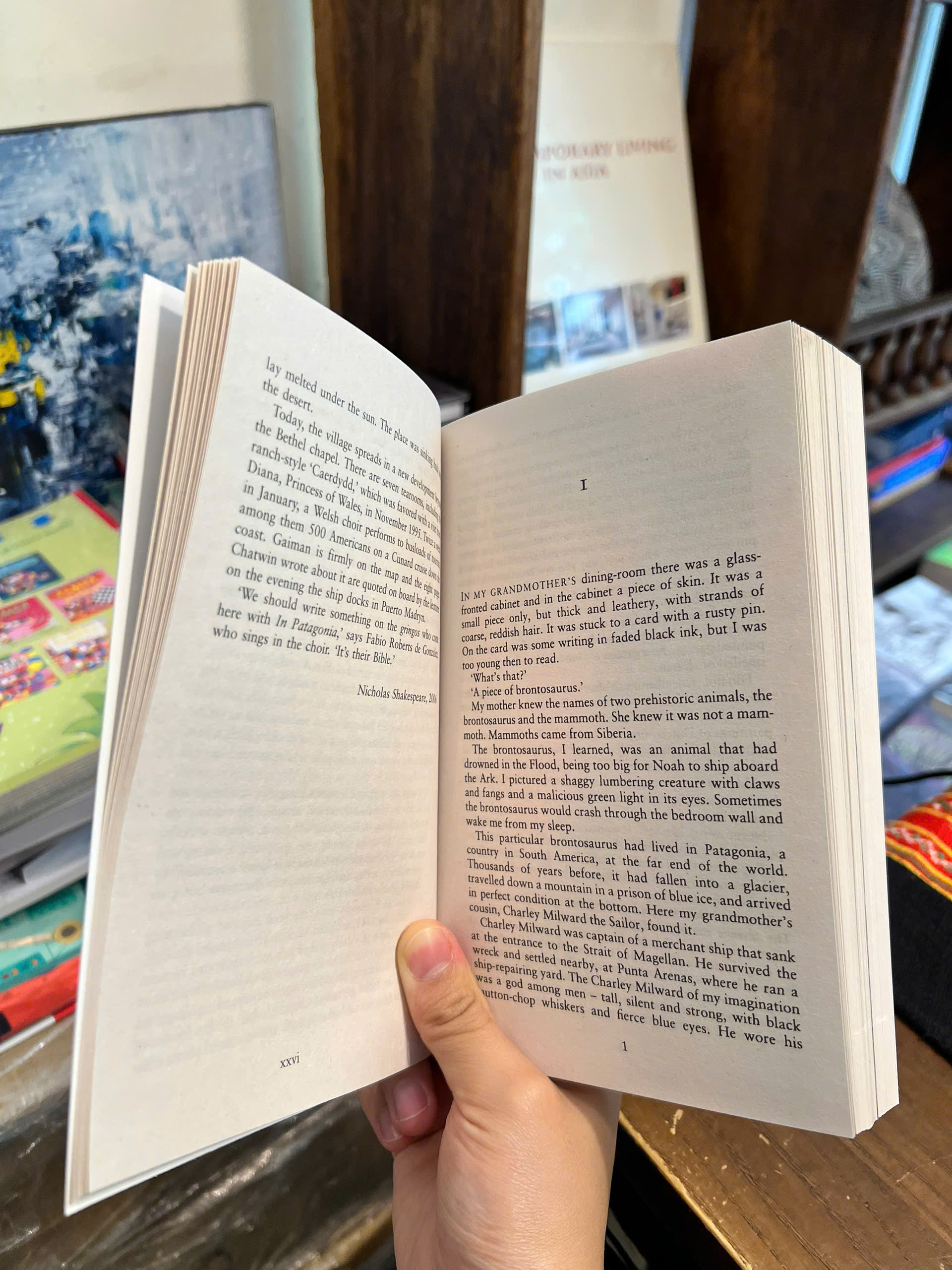 Sách - In Patagonia by Bruce Chatwin | Travel / Adventure / Classics / Ngoại văn Nhập khẩu UK