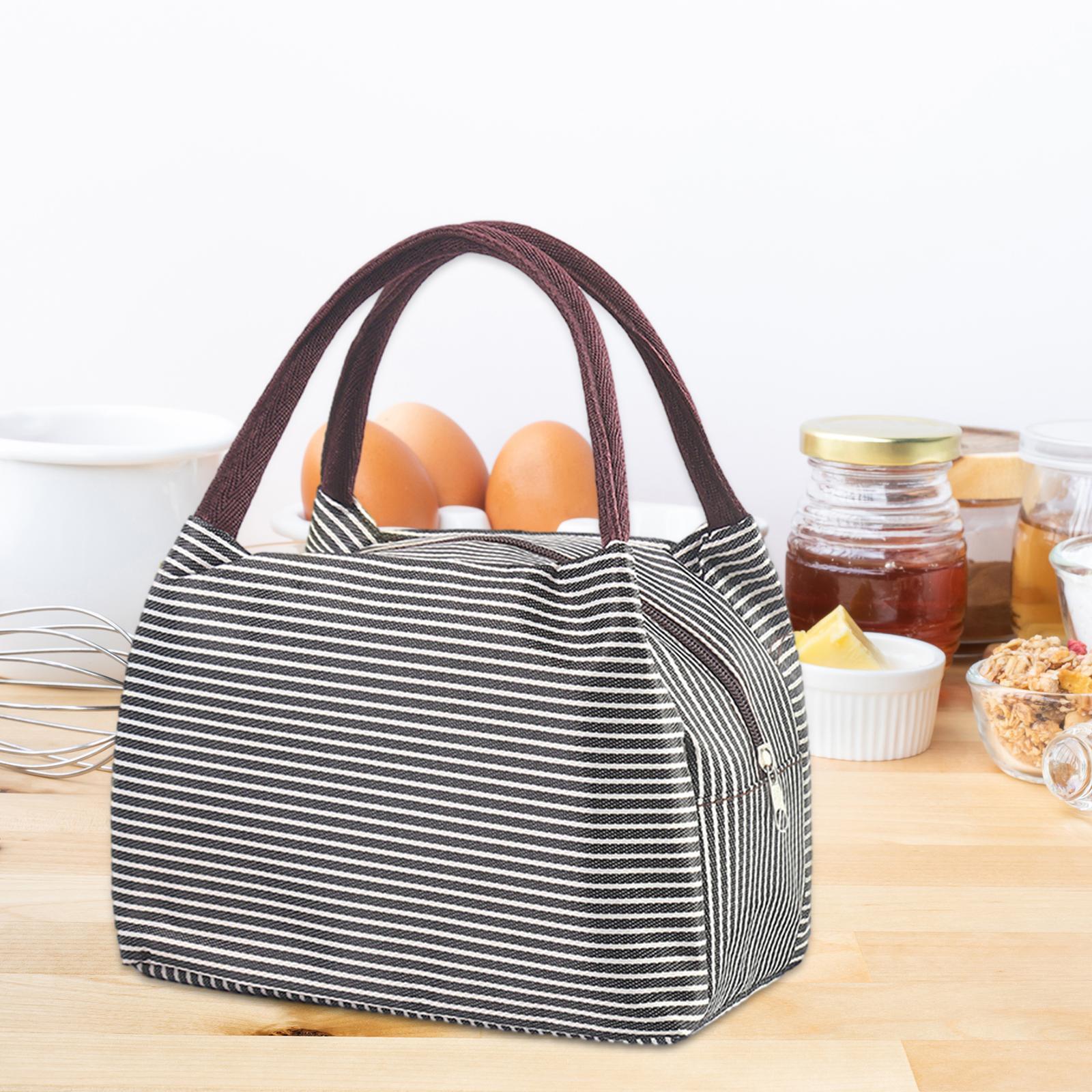 Portable Lunch Lunch Box with Handle Picnic Food Box Bags Large Capacity Lightweight Durable Portable Picnic Tote for Hiking Gym Fishing