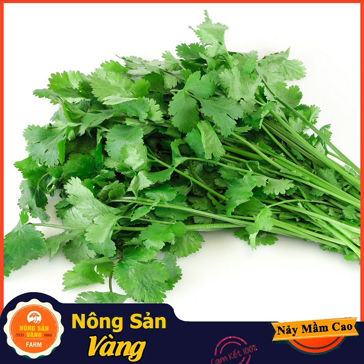 Hạt giống Rau Ngò Ta (Ngò Rí) ( Gói 20 Gram ) - Nông Sản Vàng